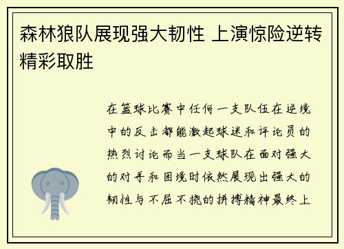 森林狼队展现强大韧性 上演惊险逆转精彩取胜